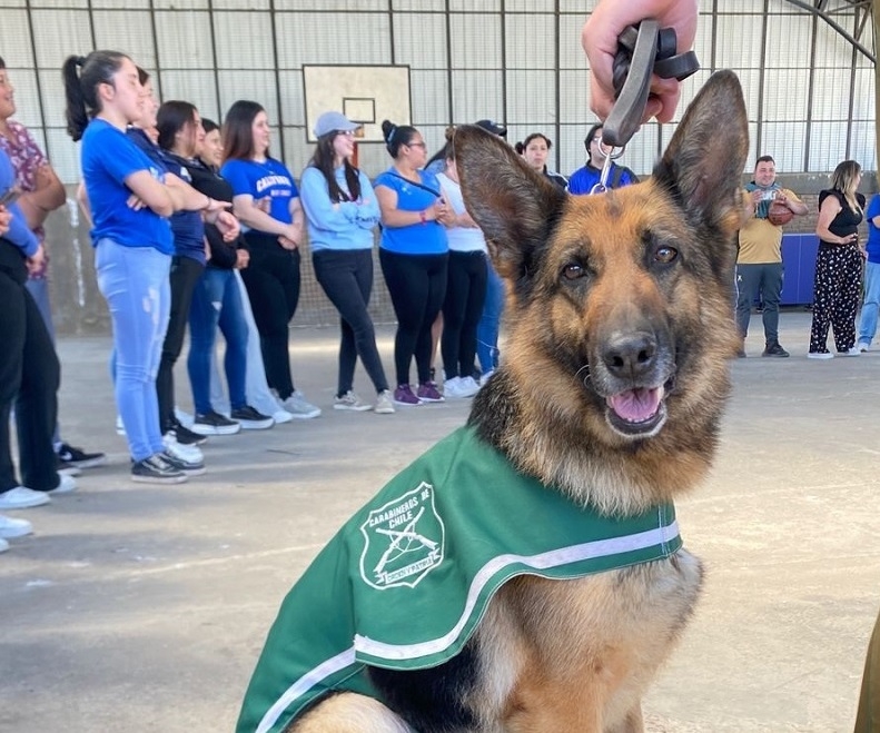 Parral:  Carabineros brindó un espacio de entretención junto a la sección canina