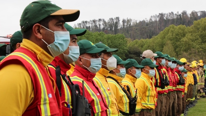 Abren proceso de inscripción a las brigadas forestales en el Maule