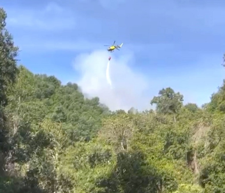 Monitoreo de Alerta Roja por incendio forestal en la comuna de Linares