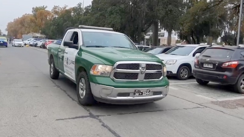 Linares: 29 detenidos por diversos delitos deja el balance de fin de semana en Carabineros