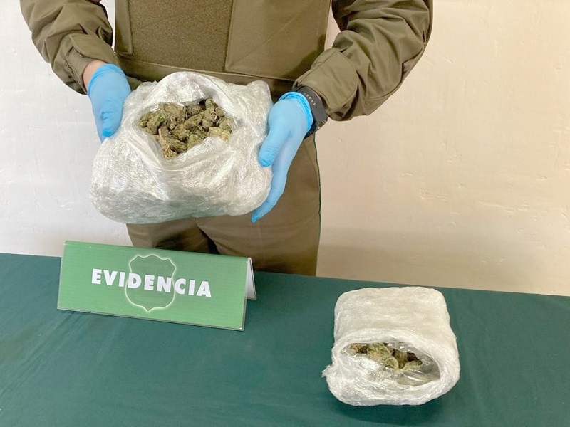 Carabineros del OS-7 Maule decomisaron más de medio kilo de marihuana en fiscalización de camión en ruta 5 sur