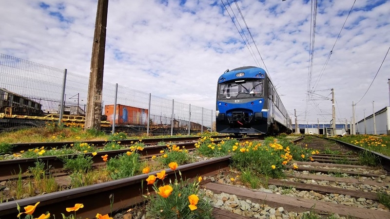 Españolas y chinas: Hay seis ofertas para las obras del tren Alameda-Melipilla