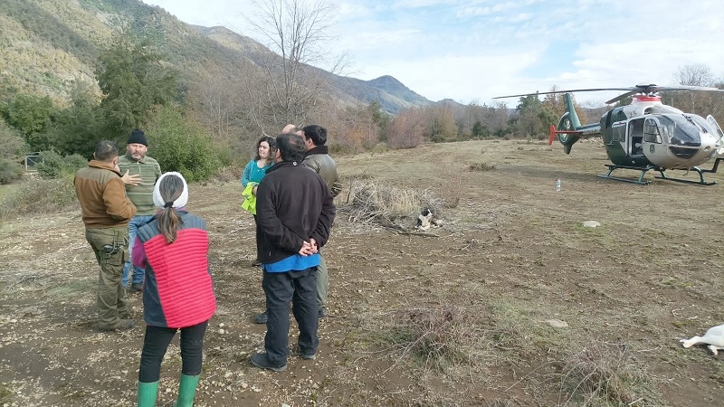 Linares: Continúan labores de búsqueda de adulto mayor desaparecido en río Ancoa