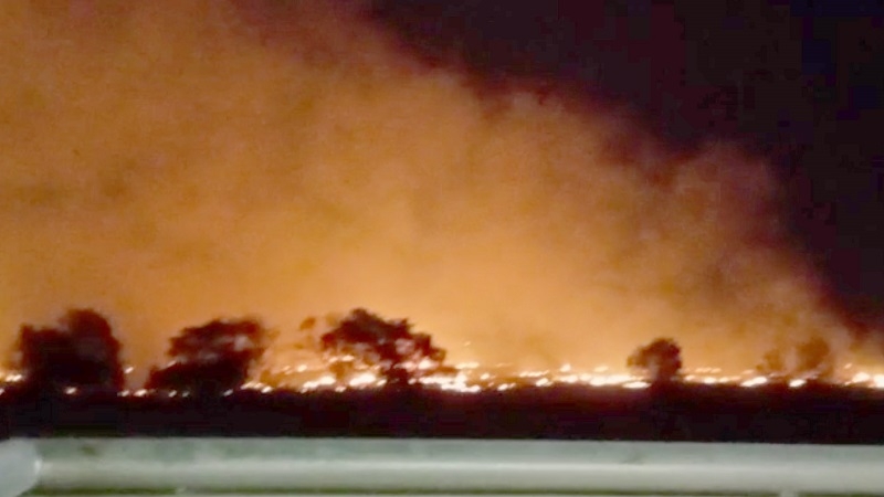 Bomberos de Linares trabajó en incendio de pastizales y rastrojos en Callejón Los Leones