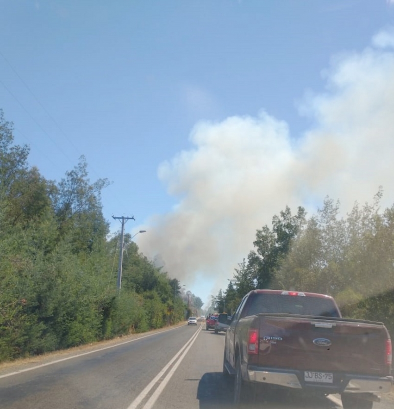 Linares: Persisten incendios forestales en zona precordillerana