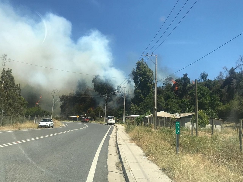  Incendio forestal afectó a 10 hectáreas en zona de Los Queñes