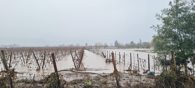 En sede Curicó de UTalca Invitan a agricultores afectados por inundaciones a participar de Conversatorio Técnico 