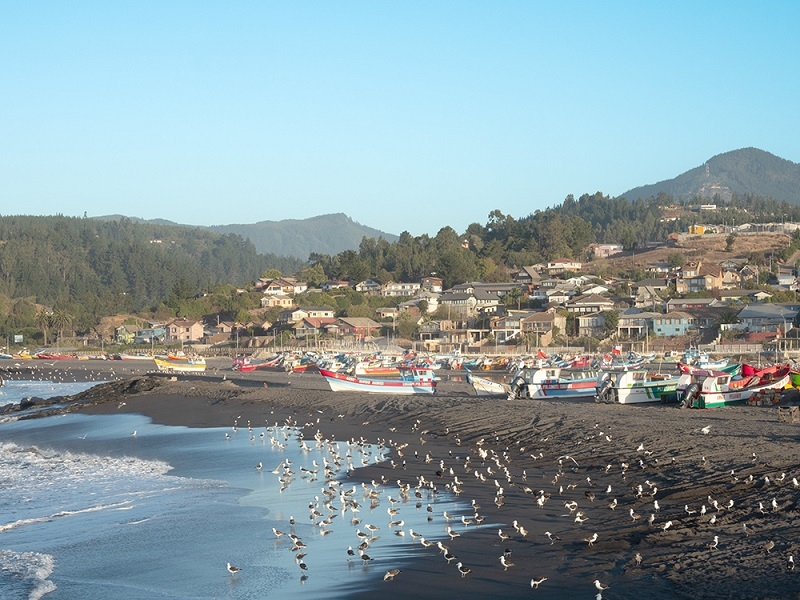 INDESPA y Gobierno Regional de Maule lanzan programa por 236 millones de pesos para proyectos de pescadores artesanales en el territorio costero