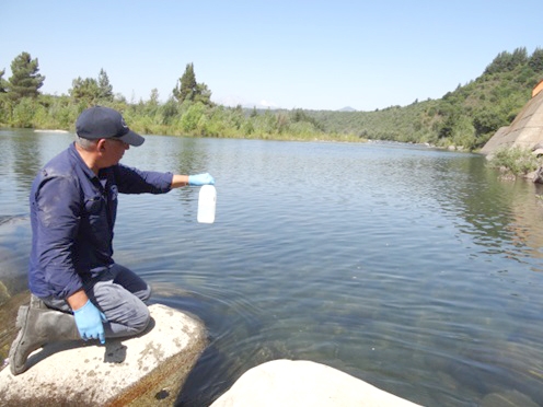 Regantes del Longaví buscan resguardar  la buena calidad de sus aguas