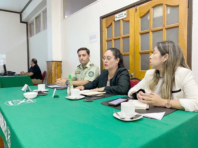 Delincuencia baja 5% anual en el Maule Sur según Carabineros