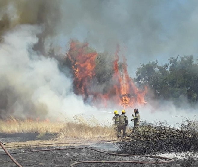 Incendios de pastizales nuevamente movilizaron a bomberos en Linares y Parral