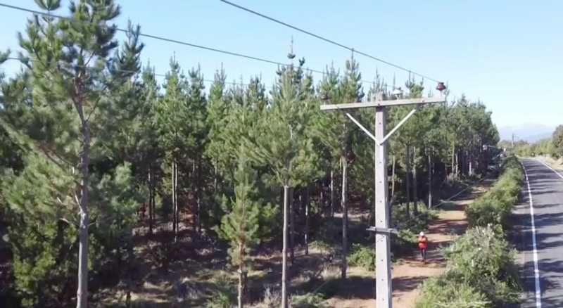 Avanza proyecto que tipifica el delito de robo de cables