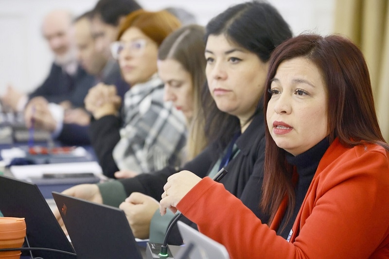 CONSEJO CONSTITUCIONAL: HACIA DÓNDE TIENE QUE AVANZAR EL SISTEMA DE SALUD MARCÓ EL DEBATE EN COMISIÓN.