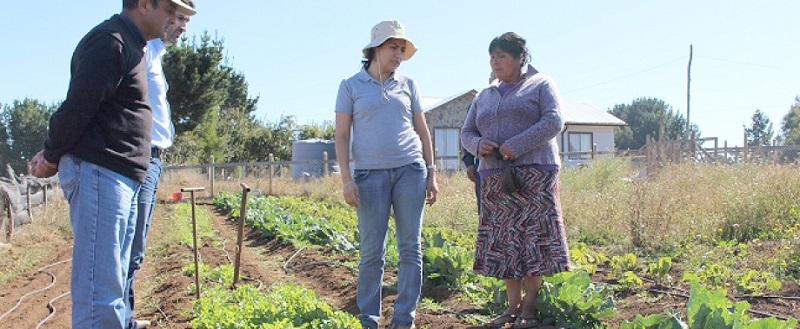 Conoce los  proyectos INIA para el Maule que inician este 2023