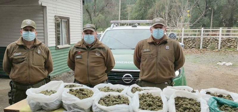 Linares: Carabineros incauta 11 kilos de marihuana elaborada en sector Las Ánimas