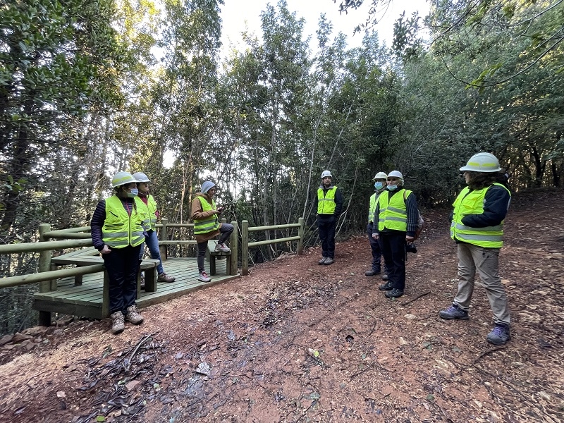 Educación y ciencia: bases para la conservación del bosque nativo 