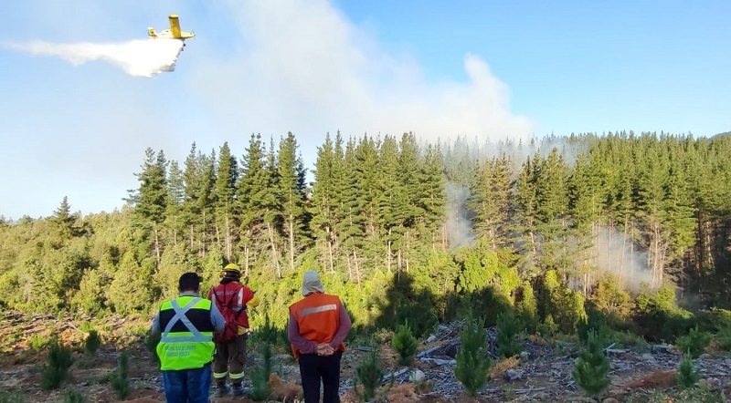 Linares: Controlado incendio forestal en sector Alto El Nabo