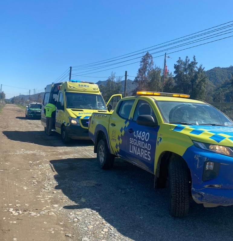 Linares: persona resulta fallecida tras caída de árbol camino a Embalse Ancoa