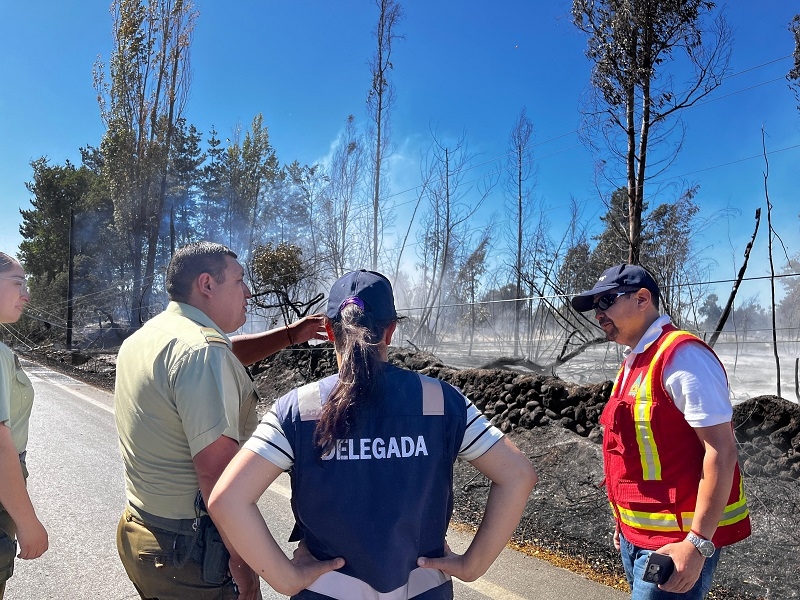 SENAPRED monitorea alerta roja en Región del Maule y Linares por riesgo de incendios