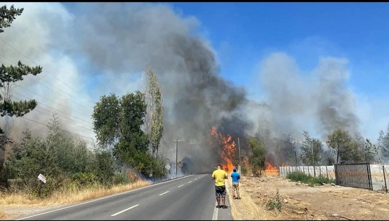 Linares: incendio forestal en sector precordillerano de Llancanao activó dispositivo de emergencias