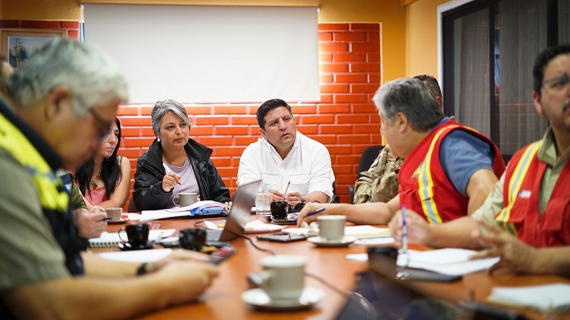 Ministra Jara por incendios en el Maule: “Estamos pidiendo a la población que tome muchas medidas para evitar nuevos focos”