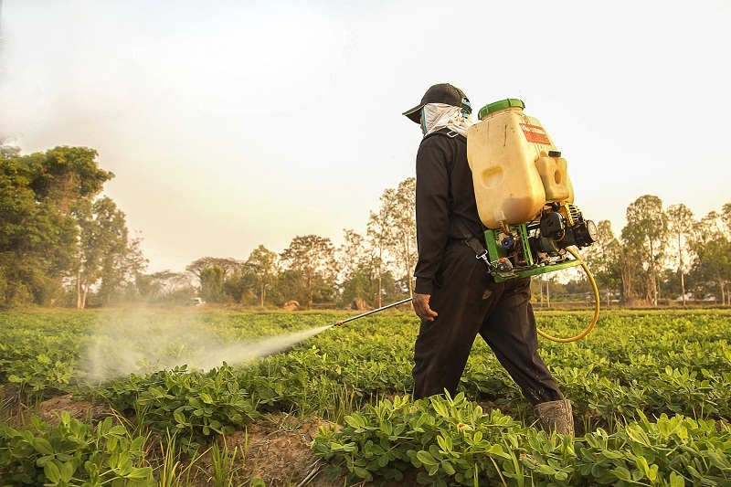 UCM se adjudicó proyecto europeo para impulsar la agricultura sostenible