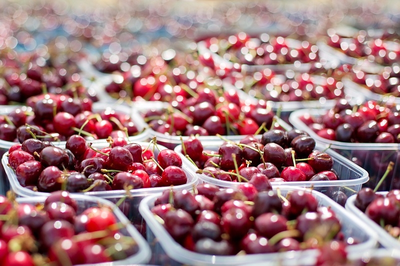 El fenómeno de la cereza chilena en China: un mercado en auge