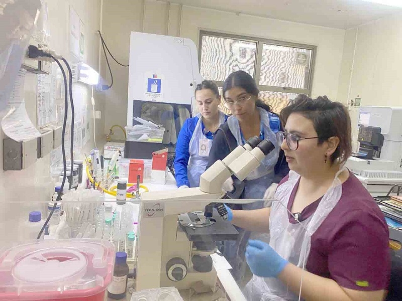 38 mil exámenes realizó el laboratorio del Hospital de Cauquenes durante el 2024