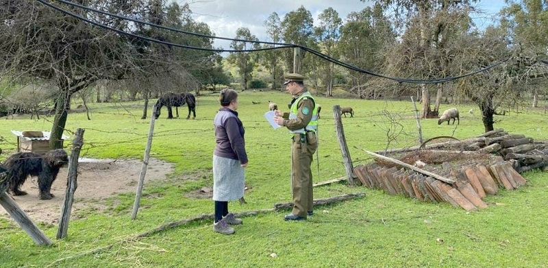 Linares: Carabineros refuerza la prevención del delito de abigeato