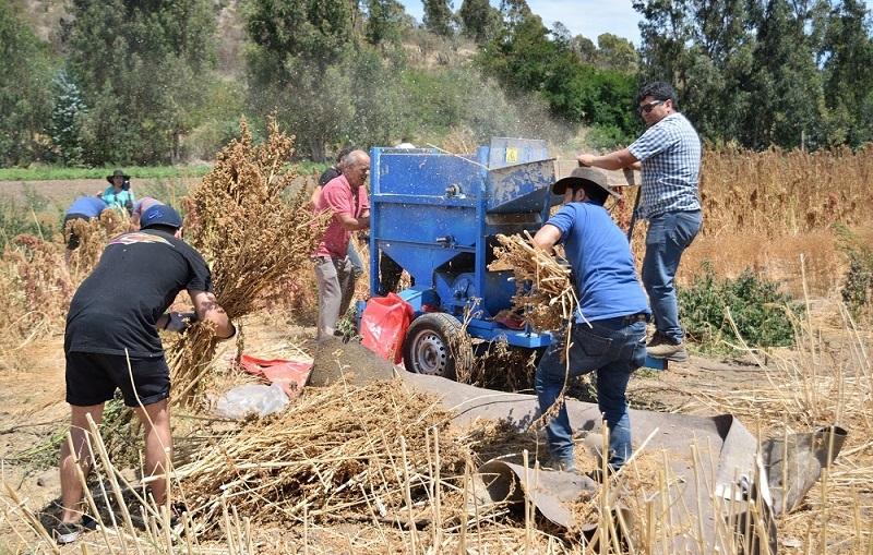 SUSPENDER FAENAS AGRÍCOLAS CON MAQUINARIA: LLAMADO A AGRICULTORES ANTE OLA DE CALOR EN EL SUR 