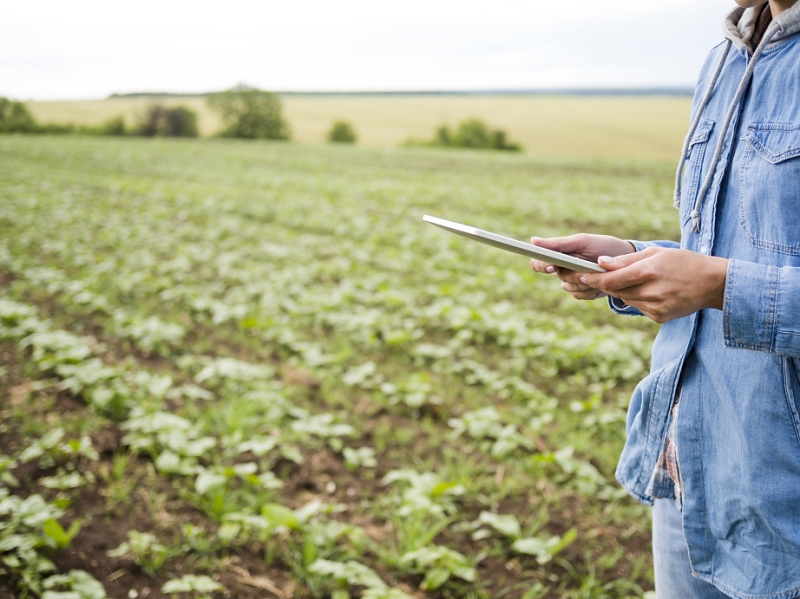 Corfo abre convocatorias para entregar 584 becas de especialización en el sector Agrícola y Silvoagropecuario