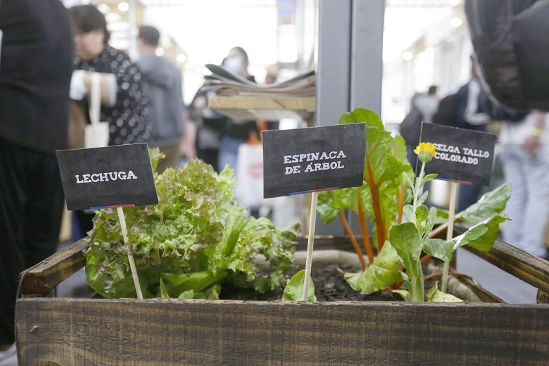 Gratuita y para todo el país Todo listo para Expo Chile Agrícola 2024: Abiertas las inscripciones