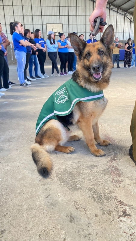 Parral: Carabineros brindó un espacio de entretención junto a la sección canina