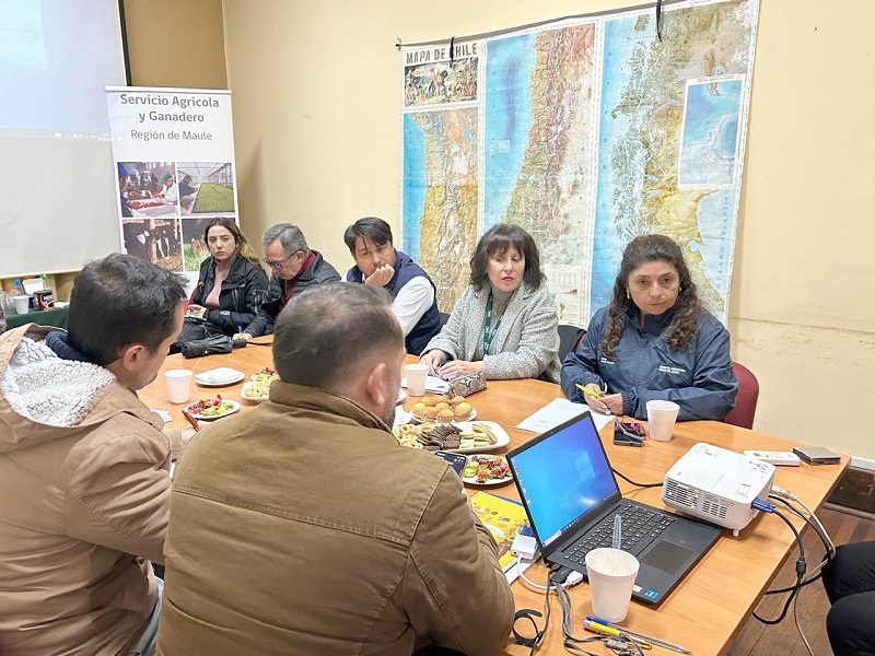 Difunden campaña de detección de mosca de la fruta en frontera norte de la región del Maule 