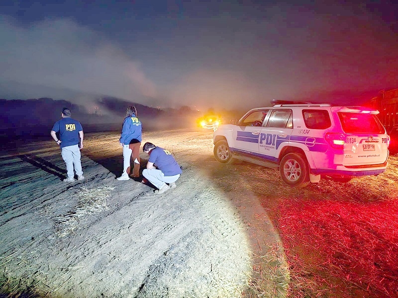 Parral: PDI a cargo de diligencias por incendio forestal al interior de Villa Baviera