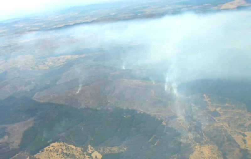 Cauquenes: Actualizan situación de alerta roja por incendio forestal