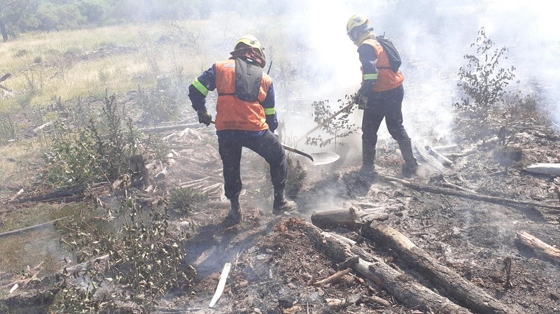 Brigadistas forestales uruguayos se capacitan en Chile para el combate de incendios