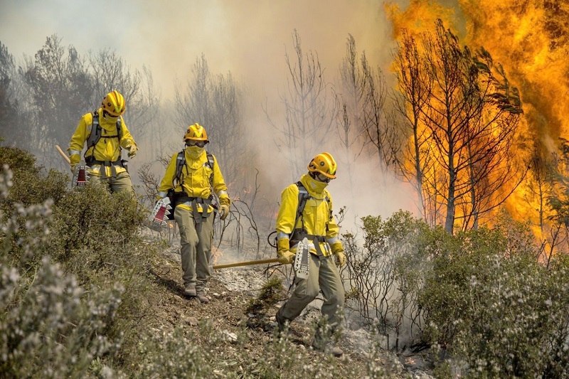 75% de investigaciones por incendios forestales se cierran sin responsables y solo el 3% con condenas