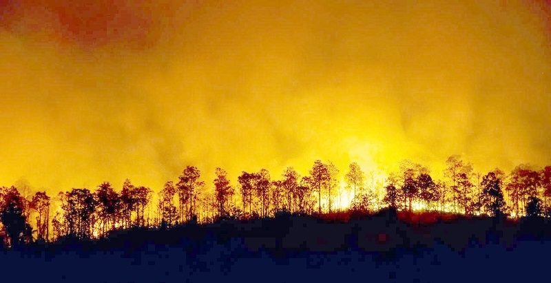 Entregan recomendaciones en salud mental para personas afectadas por incendios forestales en Chile