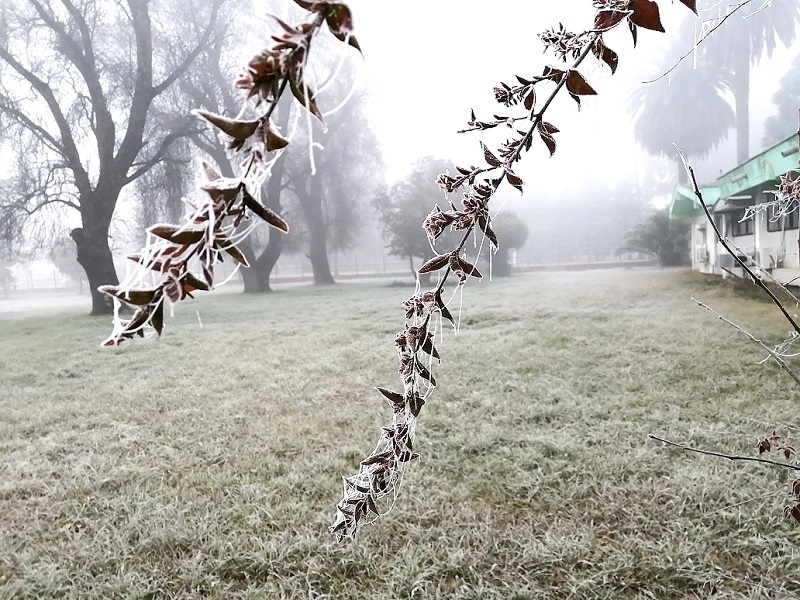 Lluvias y frío de junio no significan vuelta a normalidad climática advierte investigador INIA