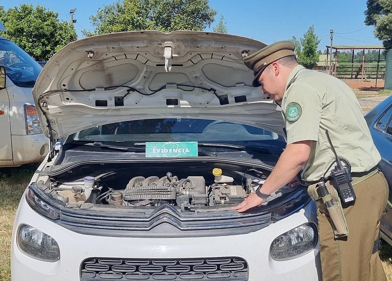 Cauquenes: Carabineros y Seguridad Municipal detienen a mujer por circular en un vehículo con encargo por robo