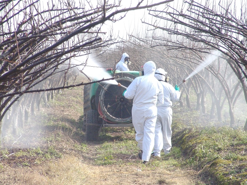 Hacia una agricultura más sustentable SAG anuncia prohibición de plaguicidas peligrosos y establece nuevas medidas para uso de agroquímicos más sustentables  