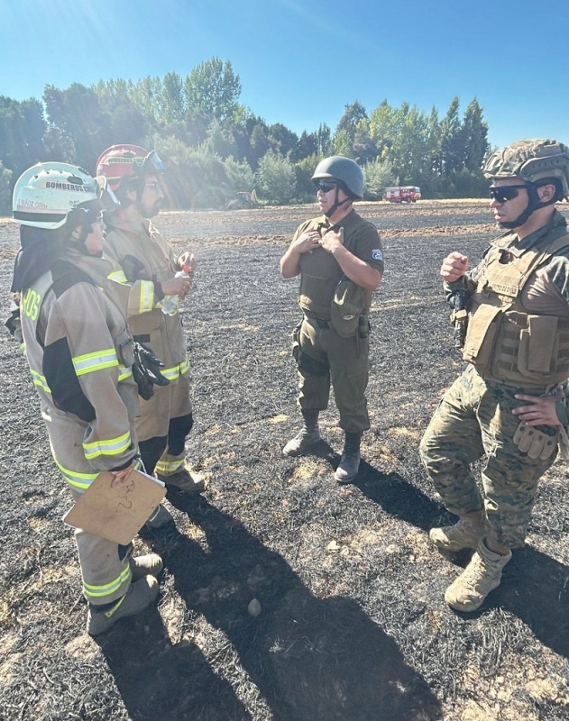  Ejército desarrolla trabajo preventivo y de fiscalización en el Maule Sur 