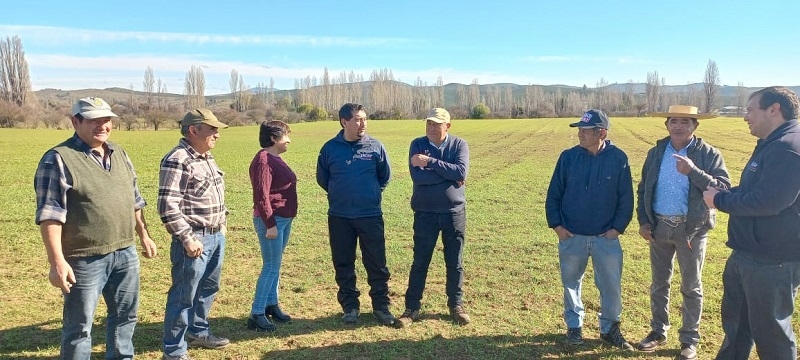 En San Javier: Director de INDAP supervisa en terreno programas de cultivos tradicionales y praderas suplementarias 