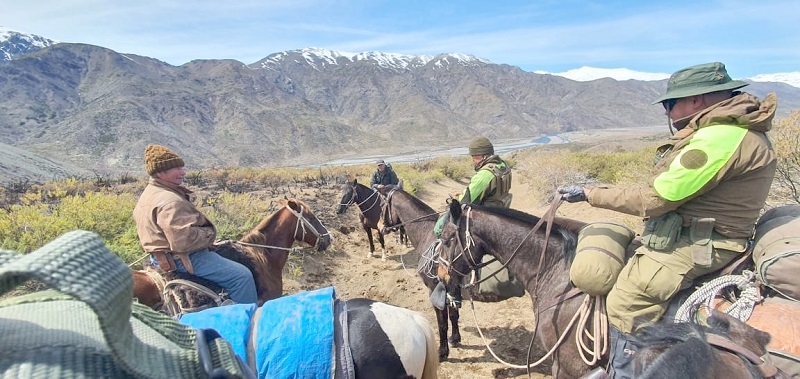  Carabineros de Linares efectuaron patrullajes montados en sector El Melado