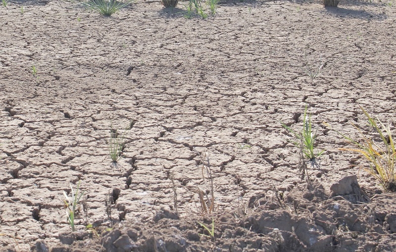 INIA presentará instrumento de predicción de sequía agrícola en seminario de la especialidad