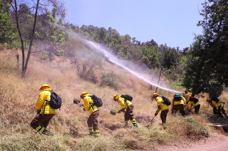 Plan nacional de cortafuegos construirá más de 3.700 kilómetros de zanjas entre Tarapacá y Magallanes que buscan prevenir incendios