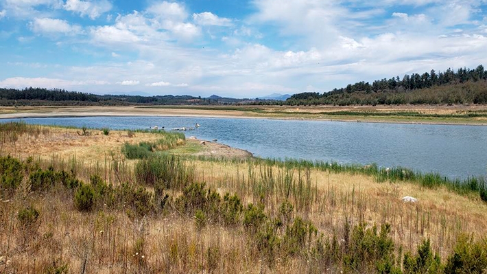 Duro informe sobre déficit hídrico en Valparaíso: Embalse Peñuelas "está prácticamente seco"