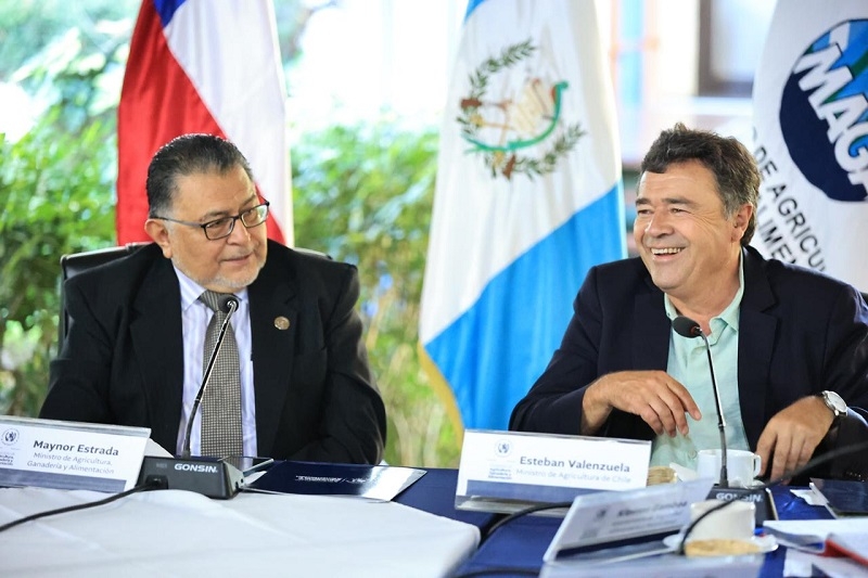 Chile y Guatemala fortalecen lazos de cooperación en agricultura y productividad