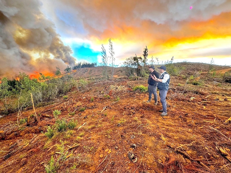 Monitoreo de Alerta para la comuna de Cauquenes por incendio forestal